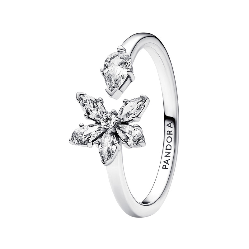 Pandora Timeless damen Ring Silber 192611C01-58-zoom-