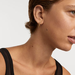 P D Paola Color 18 karat gold plated Earrings AR01-B96-U